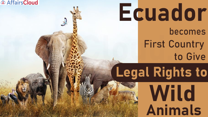 Ecuador becomes first country to give legal rights to wild animals