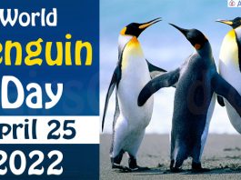 World Penguin Day April 25 2022