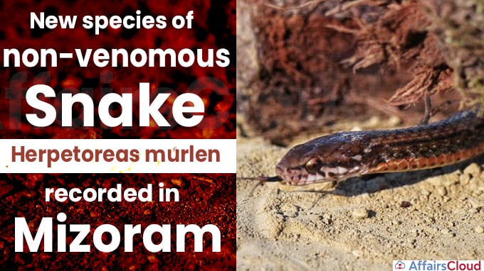 New species of non-venomous snake recorded in Mizoram