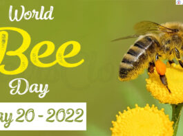 World Bee Day - May 20 2022