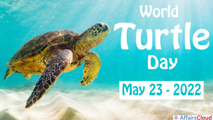 World Turtle Day 2022