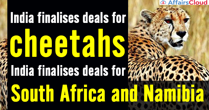 India-finalises-deals-for-cheetahs-from-South-Africa-and-Namibia