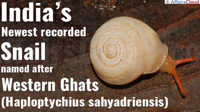 India’s newest recorded snail named after Western Ghats