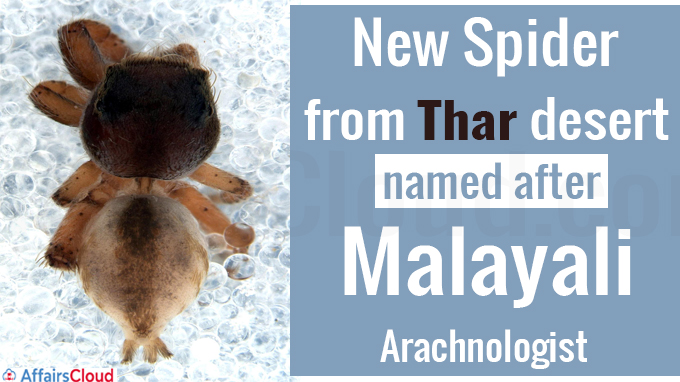 New spider from Thar desert named after Malayali arachnologist