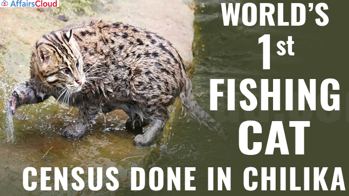 World’s first fishing cat census done in Chilika