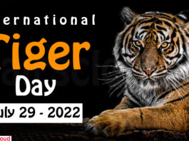 International Tiger Day - July 29 2022