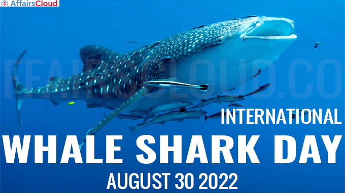 International Whale Shark Day - August 30 2022