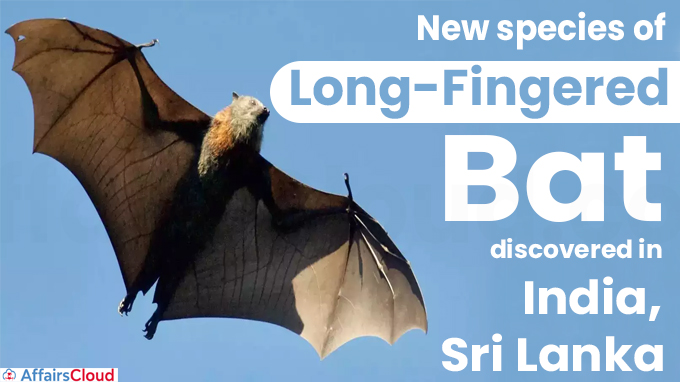 New species of long-fingered bat discovered in India, Sri Lanka