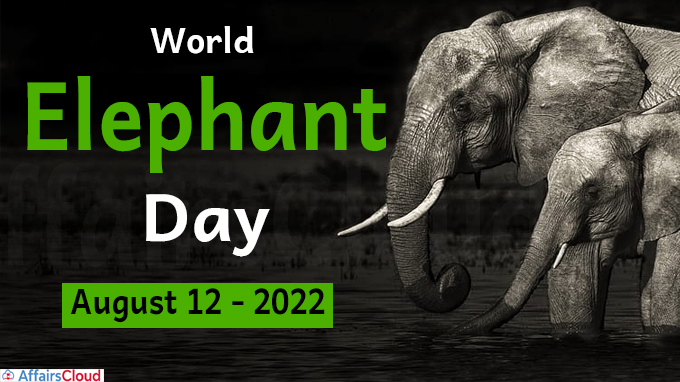 World Elephant Day 2022- August 12