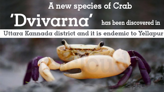New crab species found near Karnataka's Yellapur is India’s 75th1