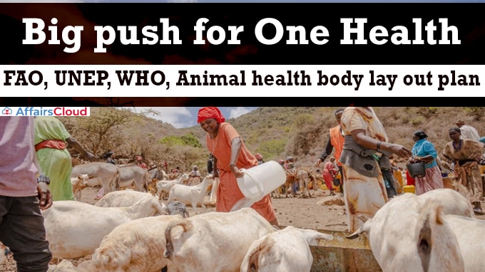 Big push for One Health FAO, UNEP, WHO, Animal health body lay out plan