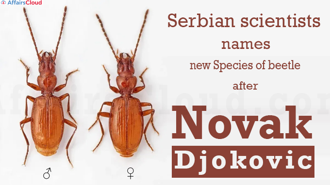 Serbian scientists name new species of beetle after Djokovic
