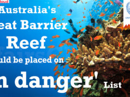 Australia's Great Barrier Reef should be placed on 'in danger' list
