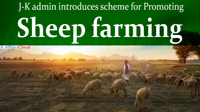 J-K admin introduces scheme for promoting sheep farming