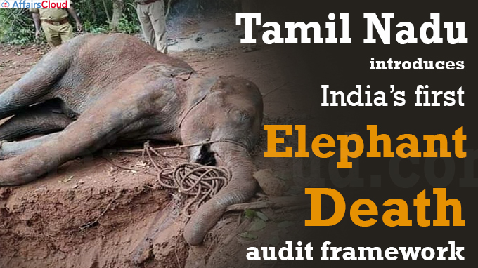 Tamil Nadu introduces India’s first elephant death audit framework