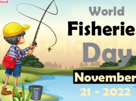 World Fisheries Day - November 21 2022