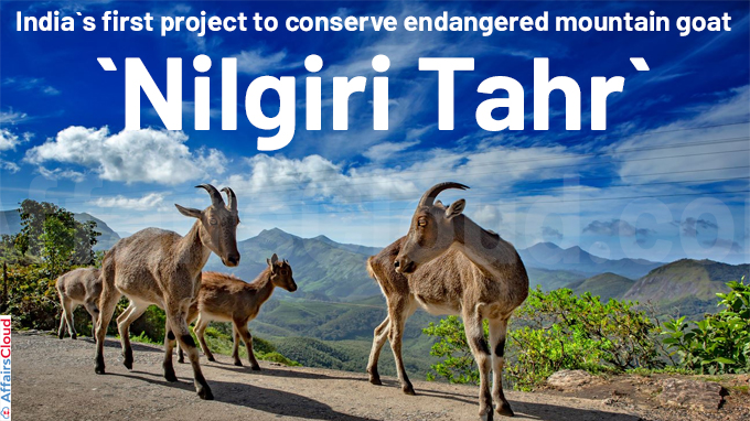 India`s first project to conserve endangered mountain goat `Nilgiri Tahr`