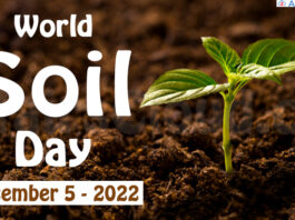 World Soil Day - December 5 2022