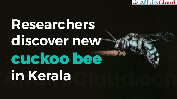 discover new cuckoo bee in Kerala