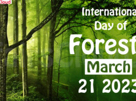 International Day of Forests - March 21 2023