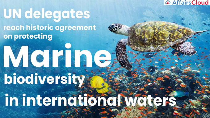 UN delegates reach historic agreement on protecting marine biodiversity in international waters