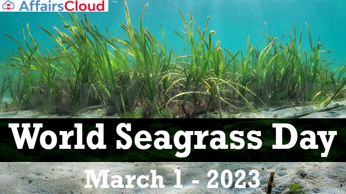 World Seagrass Day - March 1 2023