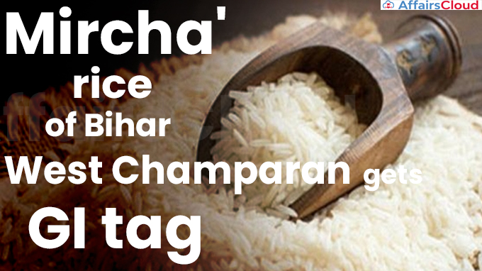 Mircha' rice of Bihar's West Champaran gets GI tag