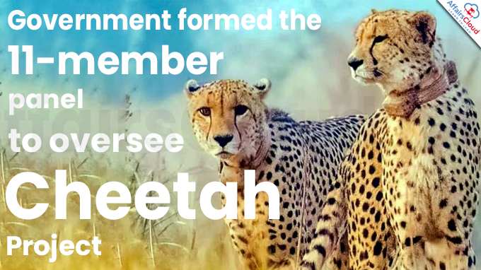 Government formed the 11-member panel to oversee cheetah project
