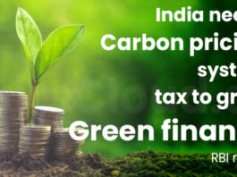 India needs carbon pricing system, tax to grow green finance