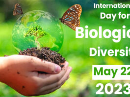 International Day for Biological Diversity - May 22 2023