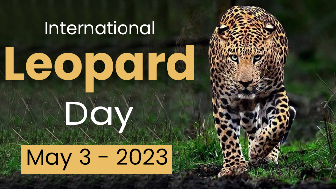 International Leopard Day - May 3 2023