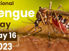 National Dengue Day - May 16 2023