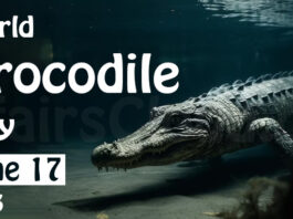 World Corcodile Day - June 17 2023