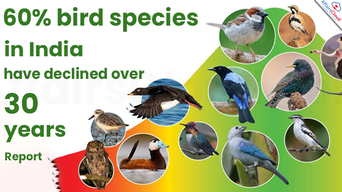 60% bird species in India have declined over 30 years