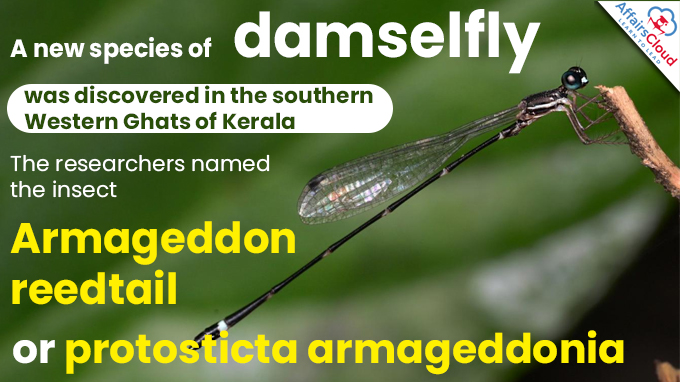 Damselfly species found in Western Ghats named after climate impact on insects