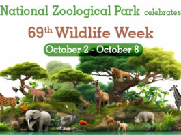 National Zoological Park celebrates 69th Wildlife Week - October 2 to October 8 2023