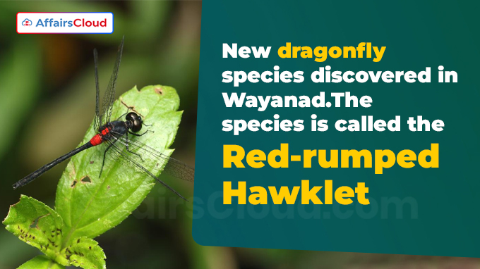 New dragonfly species discovered in Wayanad