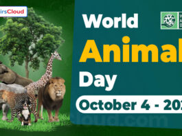 World Animal Day (WAD) - October 4 2023