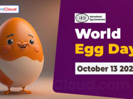 World Egg Day - October 13 2023