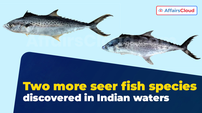 Two more seer fish species discovered in Indian waters