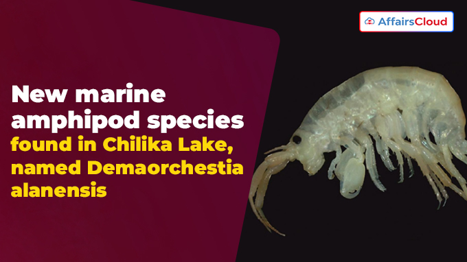 New marine amphipod species found in Chillika Lake, Odisha