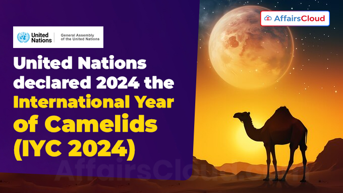 United Nations declared 2024 the International Year of Camelids