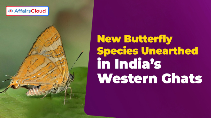 New Butterfly Species Unearthed in India’s Western Ghats