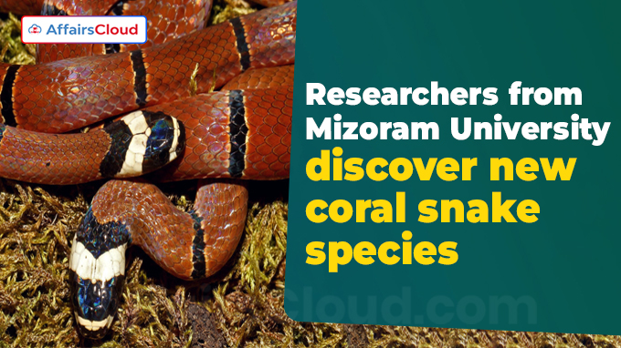 Researchers from Mizoram University discover new coral snake species
