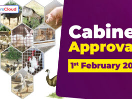 Cabinet Approvals on 1st February 2024