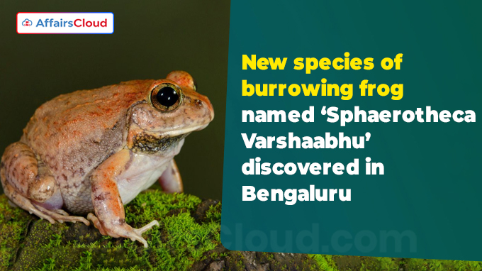 New species of burrowing frog named ‘Sphaerotheca Varshaabhu’ discovered in Bengaluru