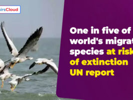 One in five of world's migratory species at risk of extinction - UN report