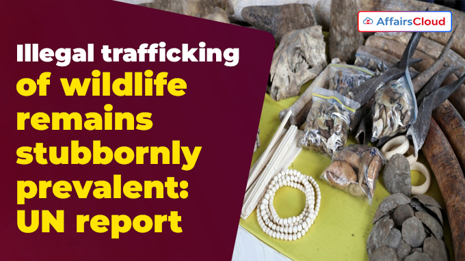 Illegal trafficking of wildlife remains stubbornly prevalent