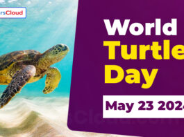 World Turtle Day - May 23 2024