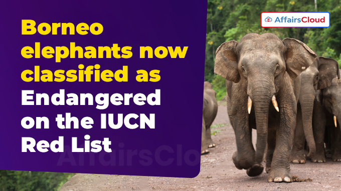 Borneo elephants now classified as Endangered on the IUCN Red List